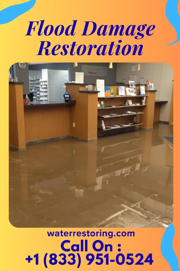 Flood Damage Restoration in Hillsboro Beach, FL