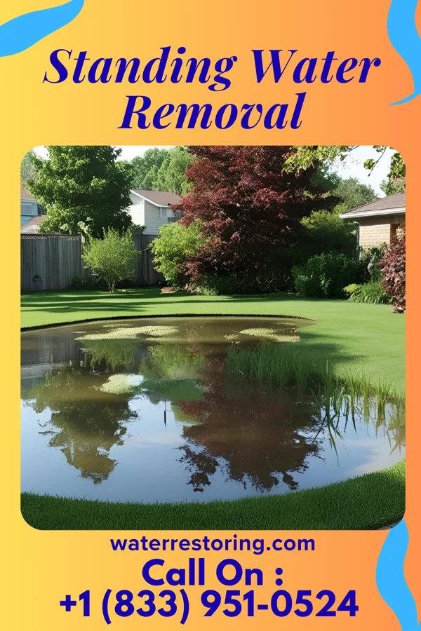 Standing Water Removal in Hillsboro Beach, FL